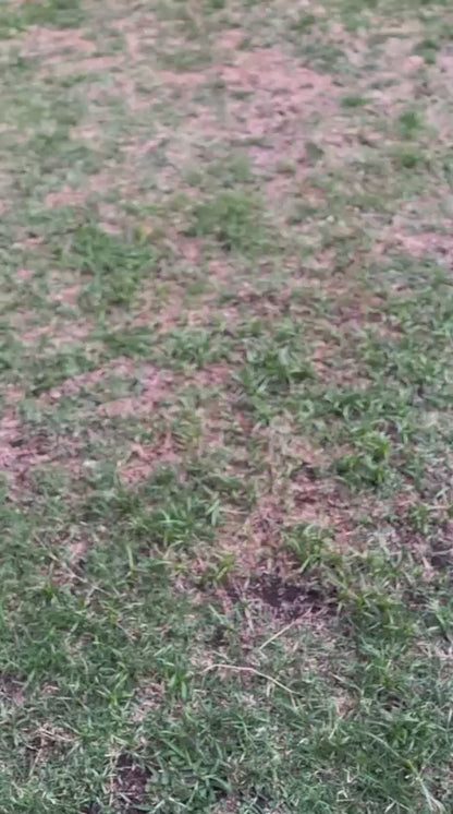 Billetera VAULTON® Celeste